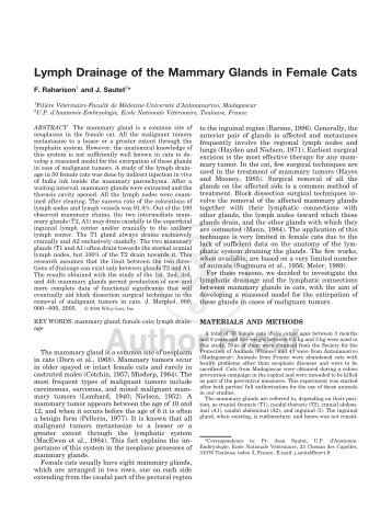 Lymph Drainage of the Mammary Glands in Female Cats