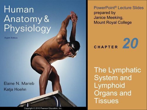 The Lymphatic System and Lymphoid Organs and ... - Next2Eden