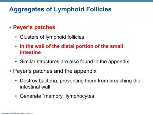 The Lymphatic System and Lymphoid Organs and ... - Next2Eden