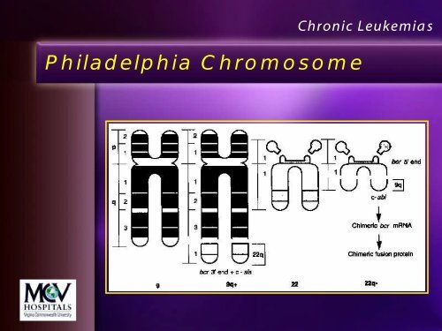 Leukemia Lecture Part 2 - Pathology