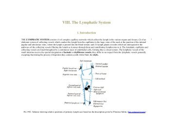 Chapter VIII: The Lymphatic System - Saylor.org