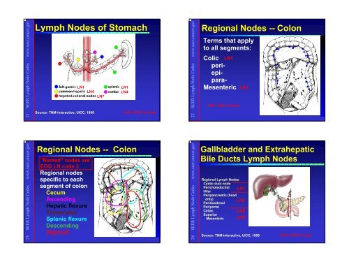 SEER Lymph Node Fields