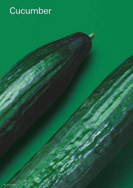 Export Catalogue Cucumber - Enza Zaden