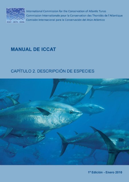 Capítulo 2. Descripción de especies - Iccat