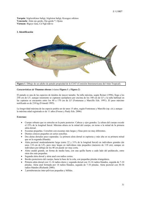 Capítulo 2. Descripción de especies - Iccat