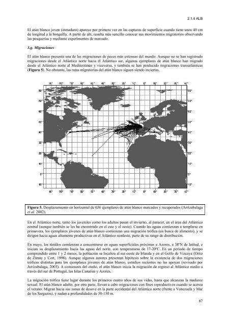 Capítulo 2. Descripción de especies - Iccat