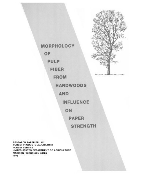 MORPHOLOGY OF PULP FIBER FROM HARDWOODS AND ...