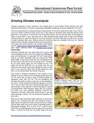 Growing Dionaea muscipula - International Carnivorous Plant Society