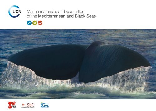 Marine mammals and sea turtles of the Mediterranean and ... - IUCN