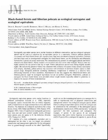 Black-footed ferrets and Siberian polecats as ecological surrogates ...