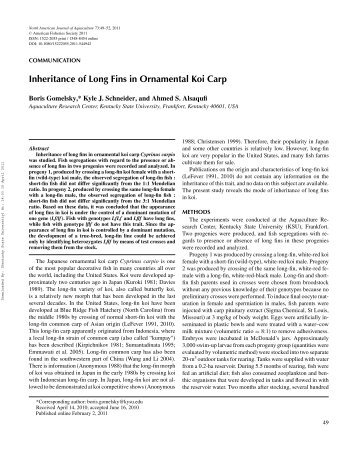 Inheritance of Long Fins in Ornamental Koi Carp - Aquaculture at ...