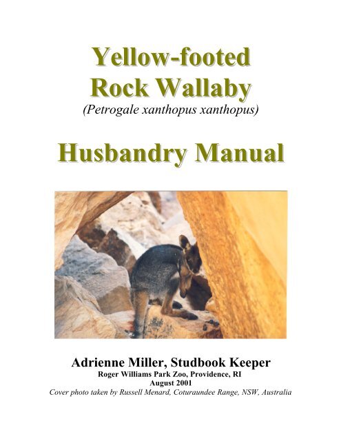 Yellow Footed Rock Wallaby Husbandry Manual Marsupial And