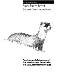 Black-footed Ferret - Conservation Library - U.S. Fish and Wildlife ...