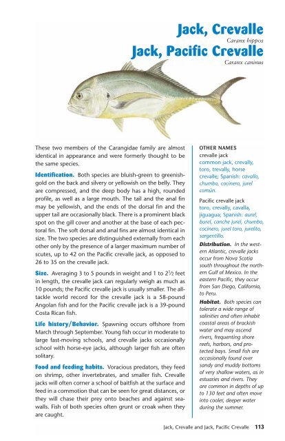 Ken Schultz's Field Guide to Saltwater Fish - Macaw Pets store