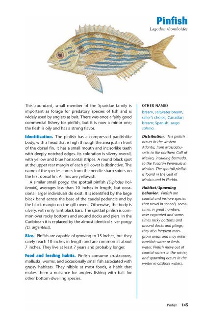 Ken Schultz's Field Guide to Saltwater Fish - Macaw Pets store