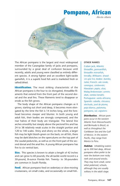 Ken Schultz's Field Guide to Saltwater Fish - Macaw Pets store