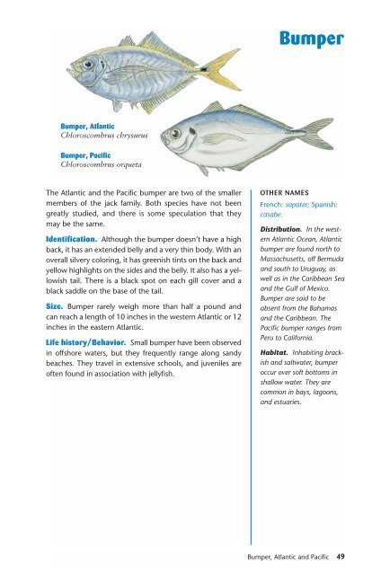 Ken Schultz's Field Guide to Saltwater Fish - Macaw Pets store