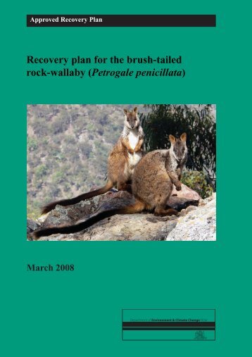 Recovery plan for the brush-tailed rock-wallaby - Department of ...