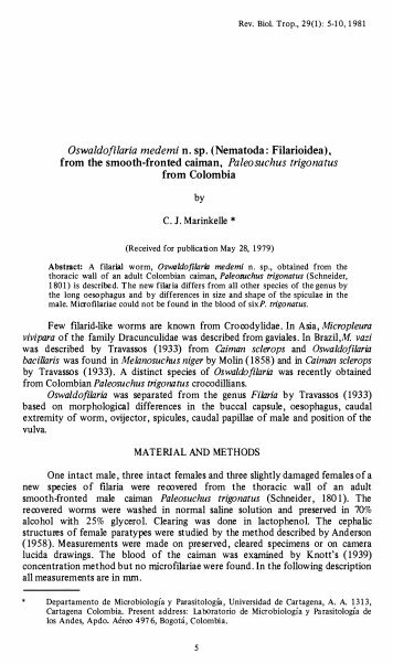 Oswaldofilaria medemi n. sp. (Nematoda : Filarioidea) - Revista de ...
