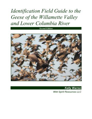 Identification Field Guide to the Geese of the - Oregon Department of ...