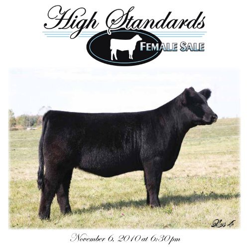 High Standards Female Sale - Dwyer Cattle Services