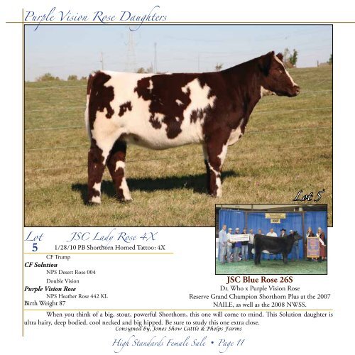 High Standards Female Sale - Dwyer Cattle Services