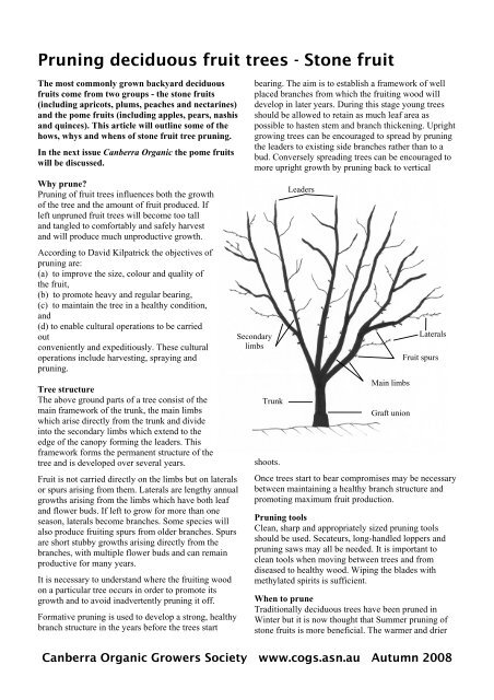 Pruning deciduous fruit trees - Canberra Organic Growers Society