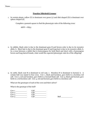 Practice Dihybrid Crosses