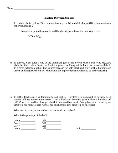 Practice Dihybrid Crosses