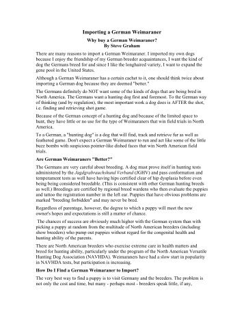 Fostering Dogs Requirements Uk Fostering Dogs Requirements Uk