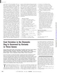 Coat Variation in the Domestic Dog is Governed - Biology @ Davidson