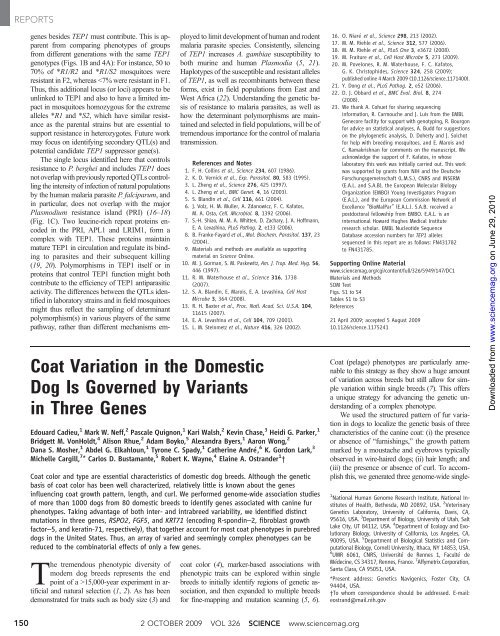 Coat Variation in the Domestic Dog is Governed - Biology @ Davidson