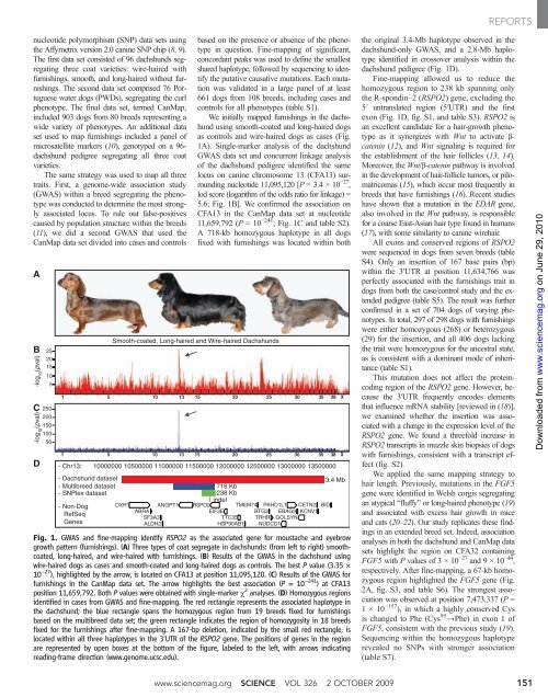 Coat Variation in the Domestic Dog is Governed - Biology @ Davidson