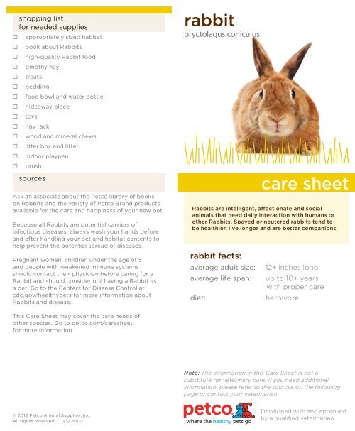 Rabbit Care Sheet Printable