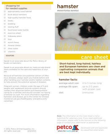 Syrian Hamster - Facts & Care Sheet - Freshfields Animal ...