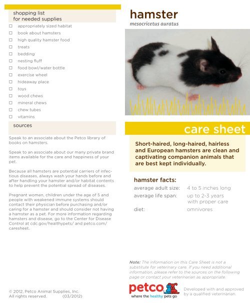 Hamsters: Pet Care, Lifespan, Costs, and Important Facts - A-Z Animals