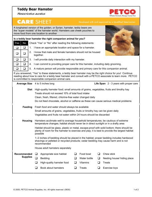 Expert Guide: Teddy Bear Hamster - Care, Lifespan, & Tips