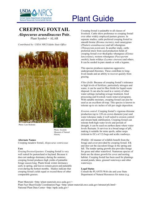 CREEPING FOXTAIL - USDA Plants Database - US Department of ...