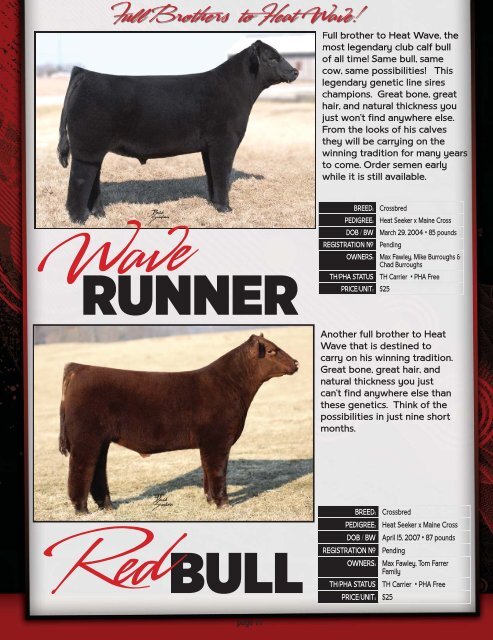 CALL TO ORDER! 937-508-5719 • 937-869 ... - Show Steers .com