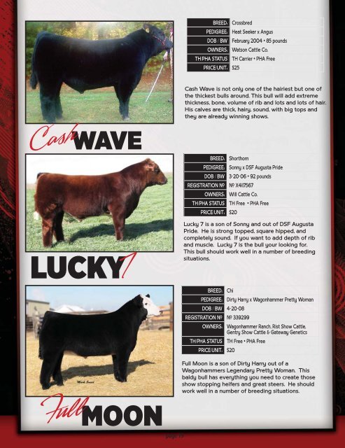 CALL TO ORDER! 937-508-5719 • 937-869 ... - Show Steers .com