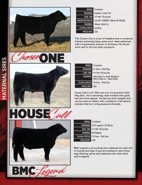 CALL TO ORDER! 937-508-5719 • 937-869 ... - Show Steers .com