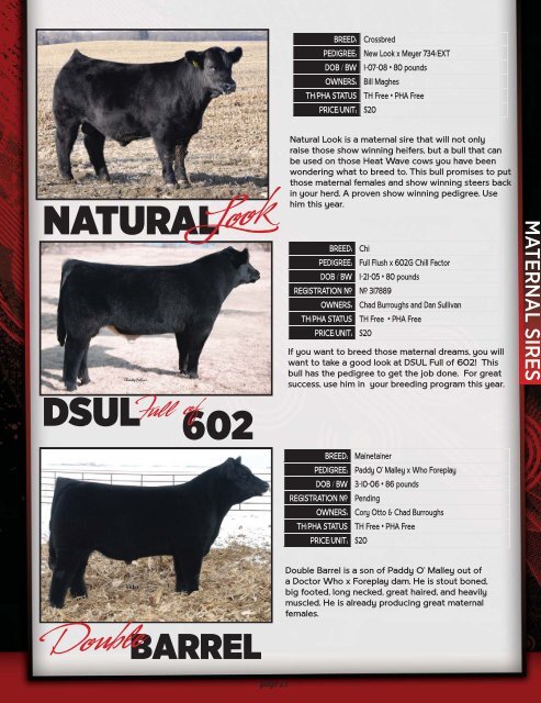 CALL TO ORDER! 937-508-5719 • 937-869 ... - Show Steers .com