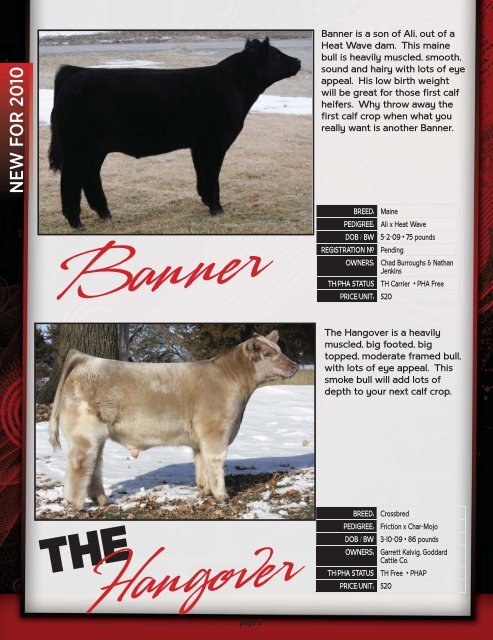 CALL TO ORDER! 937-508-5719 • 937-869 ... - Show Steers .com