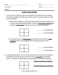 11a 2 Probability And Punt Squares