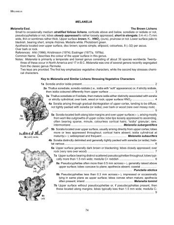 74 MELANELIA Melanelia Essl. The Brown Lichens Small to ...