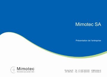 Les débuts du LIGA : Mimetal TM (1998) - Mimotec SA