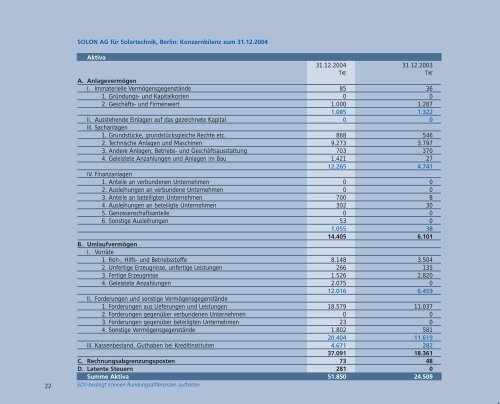 Geschäftsbericht 2004 - Solon