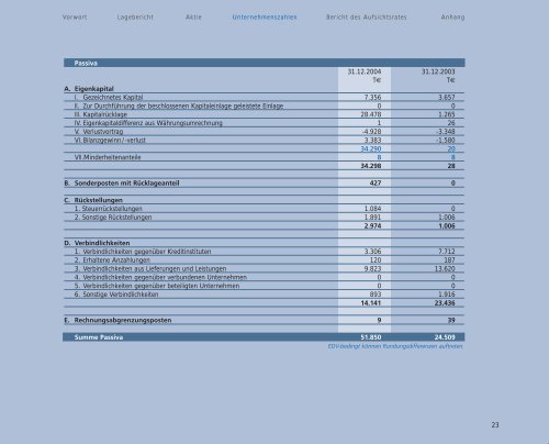 Geschäftsbericht 2004 - Solon