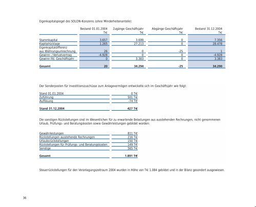 Geschäftsbericht 2004 - Solon