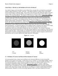 CHAPTER 4: PHYSICAL DETERMINANTS OF CONTRAST Any ...